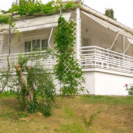 Big Country House, 10' From The Gomation